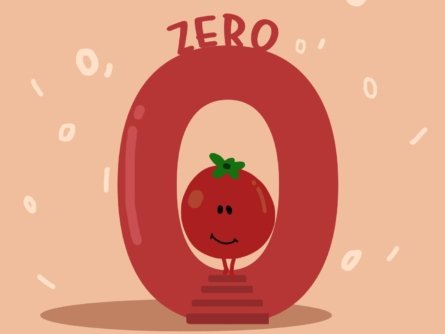 zero calories food for weigh loss