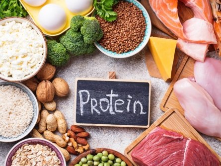 Foods high in protein are good for overall health