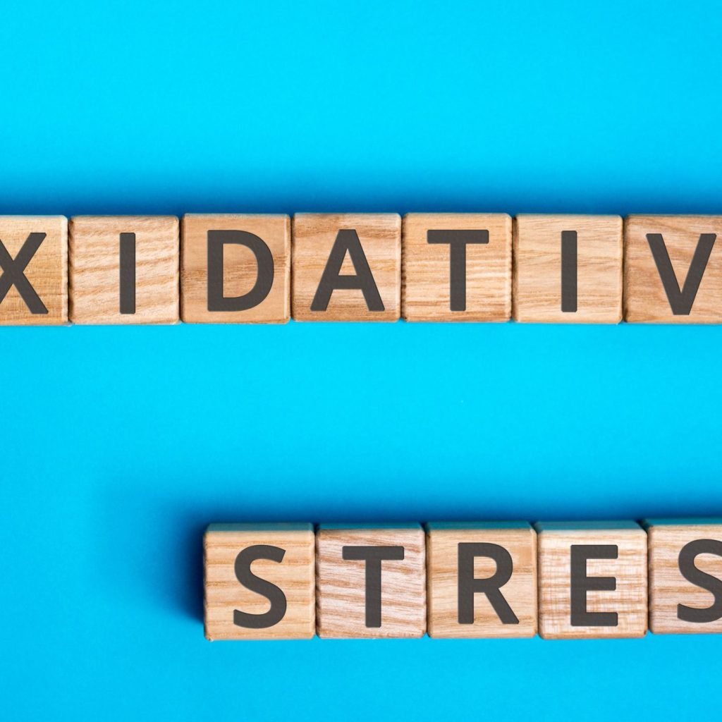 Oxidative stress inscription wooden cubes with letters on a blue background.