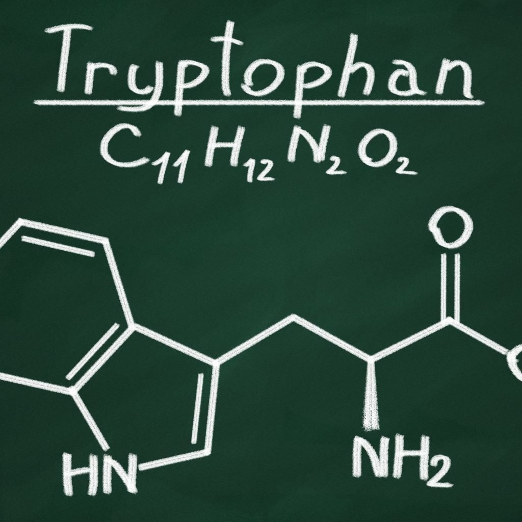 Structural model of Tryptophan on a blackboard.