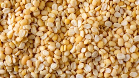 An image of Moong dal, also known as mung beans, scattered around, and it is considered one of the top Indian pulses.