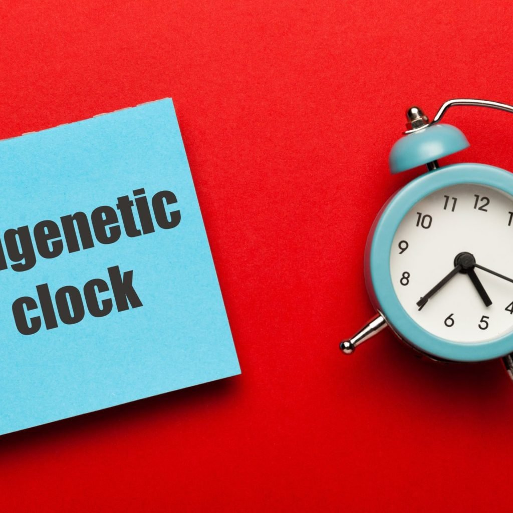 Epigenetic clock concept. It is often used to measure human biological age.