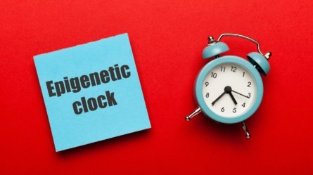 Epigenetic clock concept. It is often used to measure human biological age.