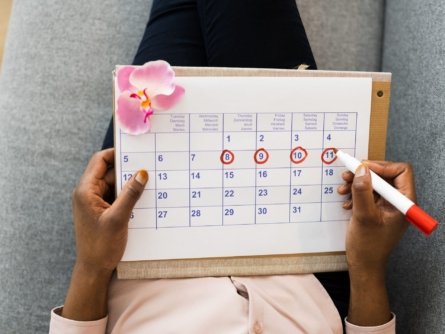 A woman seen using her menstrual cycle calendar.