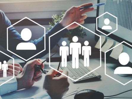 HR Professionals