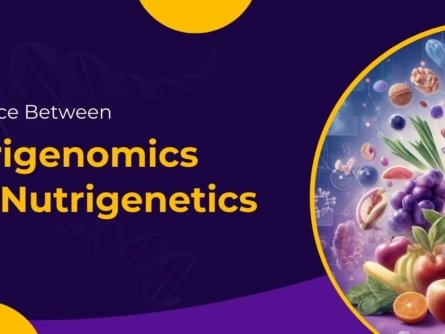 Difference Between Nutrigenomics and Nutrigenetics
