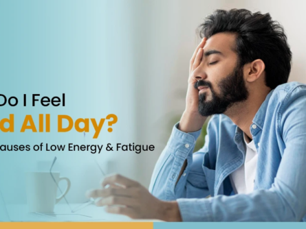 why do I feel tired all day