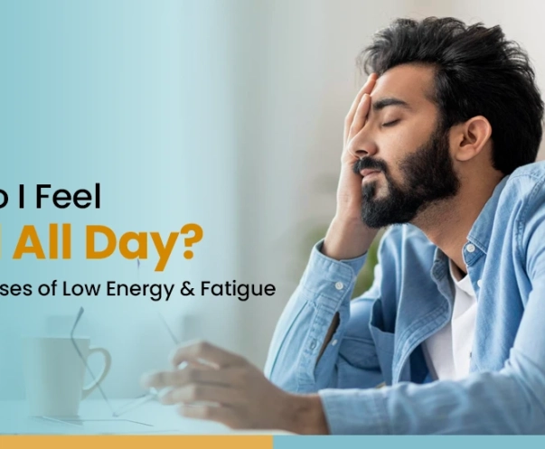 why do I feel tired all day