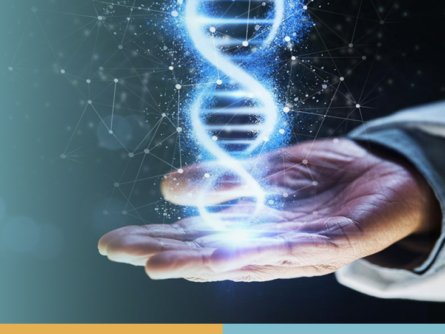 What Is a Biological Age Test? Understand Your Real Age